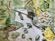26th Feb 2025 - Little Jones Creek waterfall