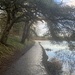 Wet walk along the loch side….. 