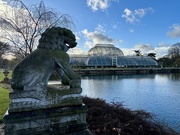 26th Feb 2025 - Kew Gardens