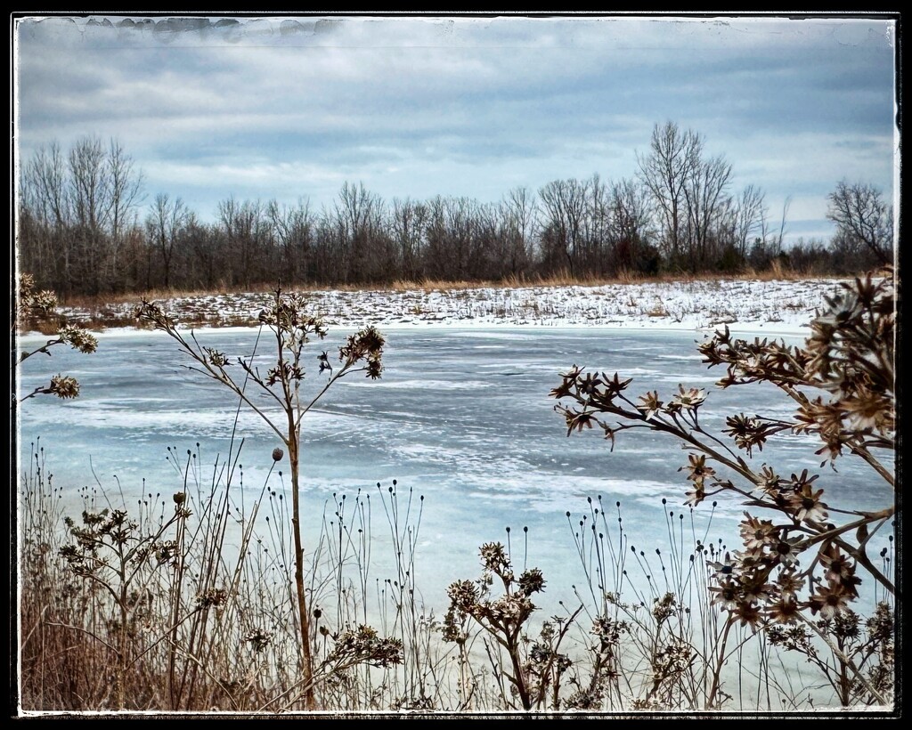 Brown and Grey by eahopp