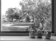 27th Feb 2025 - Kitchen windowsill