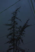 25th Feb 2025 - Evening 