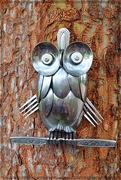 27th Feb 2025 - Silver Spooned Owl
