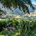 The view towards Simonsberg by ludwigsdiana