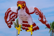 27th Feb 2025 - One to today's entries in the Kite Festival.