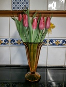 27th Feb 2025 - Spring Flowers...........