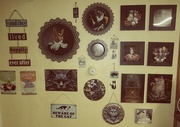 24th Feb 2025 - Kitchen wall.....