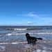 Todays walk number 3….The Seaside!  by happypat