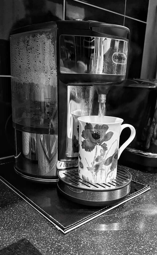 FOR 27 kitchen by carole_sandford