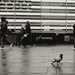 Just Another Day-0846-2 by kellyanngray