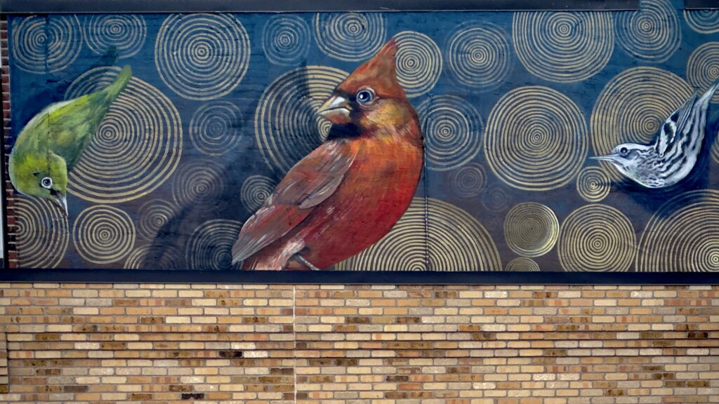Gorgeous New Street Art “Bird Watching” by eahopp