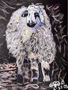 27th Feb 2025 - The Golden Fleece