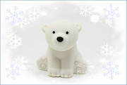 26th Feb 2025 - Polar Bear Day