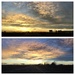 On the Way Home by dailypix