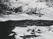 28th Feb 2025 - Winter Creek - FOR2025