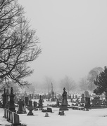 26th Feb 2025 - Cemetery fog