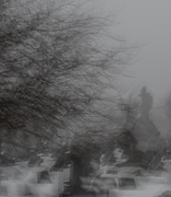 26th Feb 2025 - Cemetery fog-2