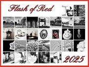 28th Feb 2025 - Flash of Red 2025 calendar 