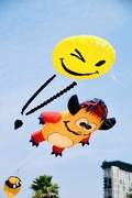 28th Feb 2025 - Day 3 of the Kite Festival.