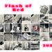 Flash of Red 2025
