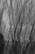 27th Feb 2025 - A sudden downpour
