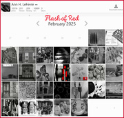 28th Feb 2025 - Flash of Red Calendar 2025