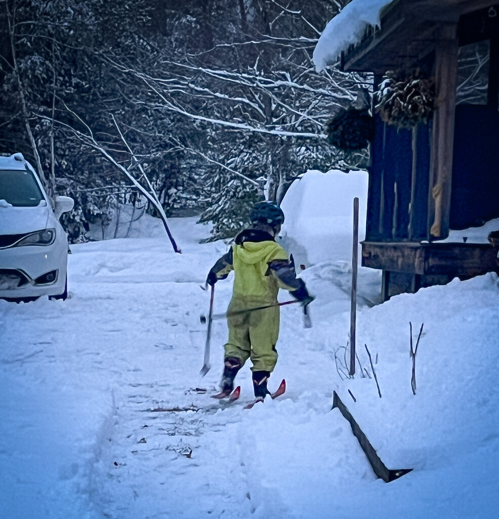 Feb 27 - Learning to Ski by mikedaub