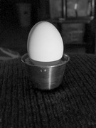 28th Feb 2025 - I'm Eggcited to end FOR2025
