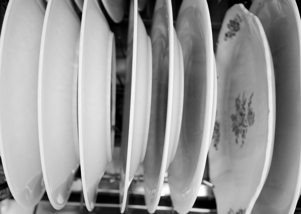 Loaded dishwasher by cristinaledesma33