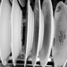 Loaded dishwasher