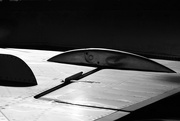 28th Feb 2025 - Winging It