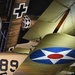 Dogfight?