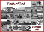 28th Feb 2025 - Flash of Red calendar