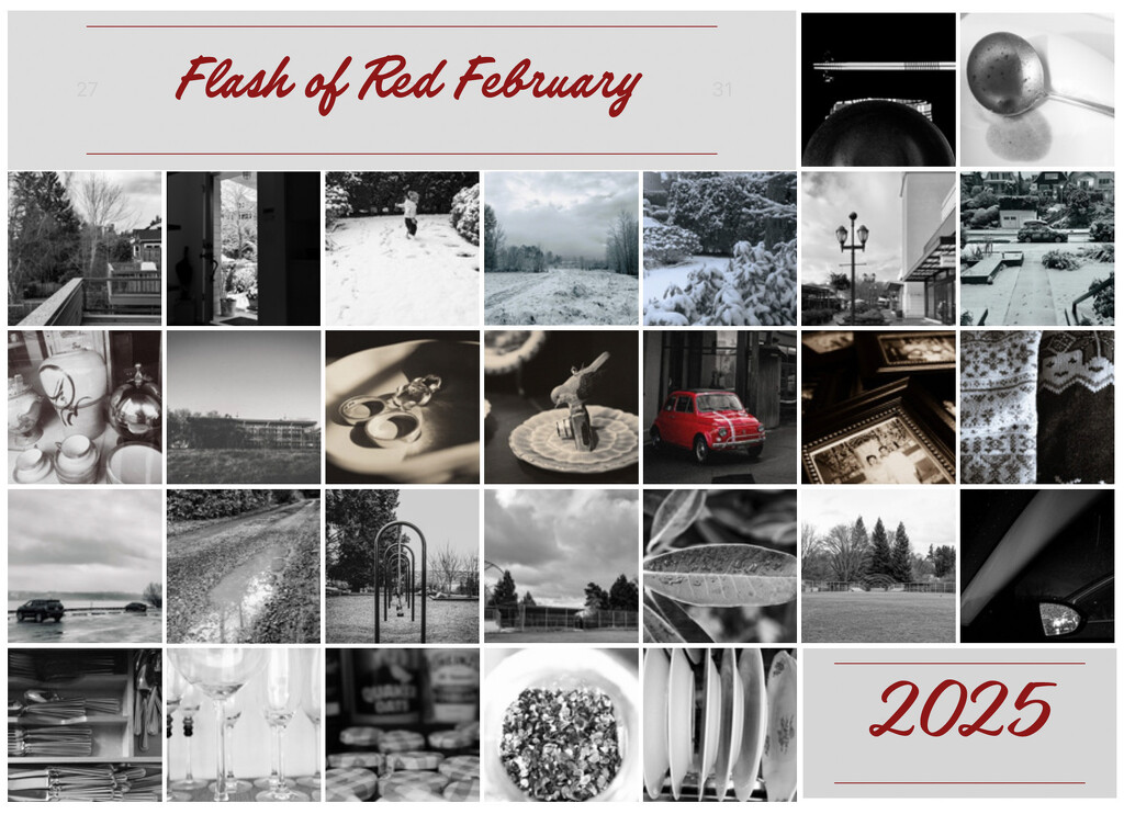 Flash of Red 2025 by cristinaledesma33