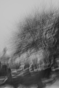 27th Feb 2025 - Series-2