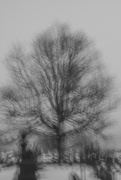 28th Feb 2025 - Series-3