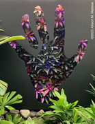 28th Feb 2025 - Growth In Hand