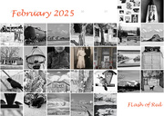 28th Feb 2025 - February 2025 Flash of Red Challenge