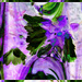 Purple abstract by beryl