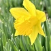 Spring is on its way!  by calm
