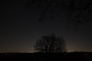 28th Feb 2025 - Starry, Starry Night