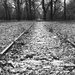 Miniature Railroad