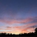 Skies