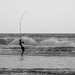 Reeling It In