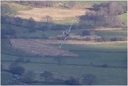 2nd Mar 2025 - Texan Mk2