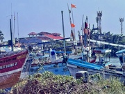 13th Feb 2025 - Fishermen boats. 