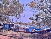 13th Feb 2025 - Colorful boats. 