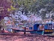 13th Feb 2025 - Painted boats. 