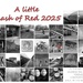 Flash of Red 2025
