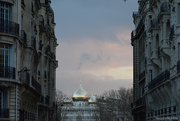 25th Feb 2025 - contrats